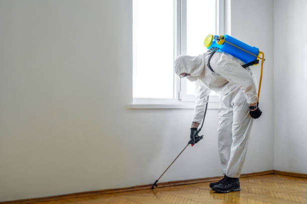 Professional Pest Control in Plains, KS